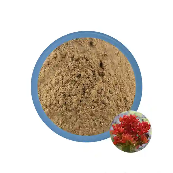 Rhodiola Rosea Extract